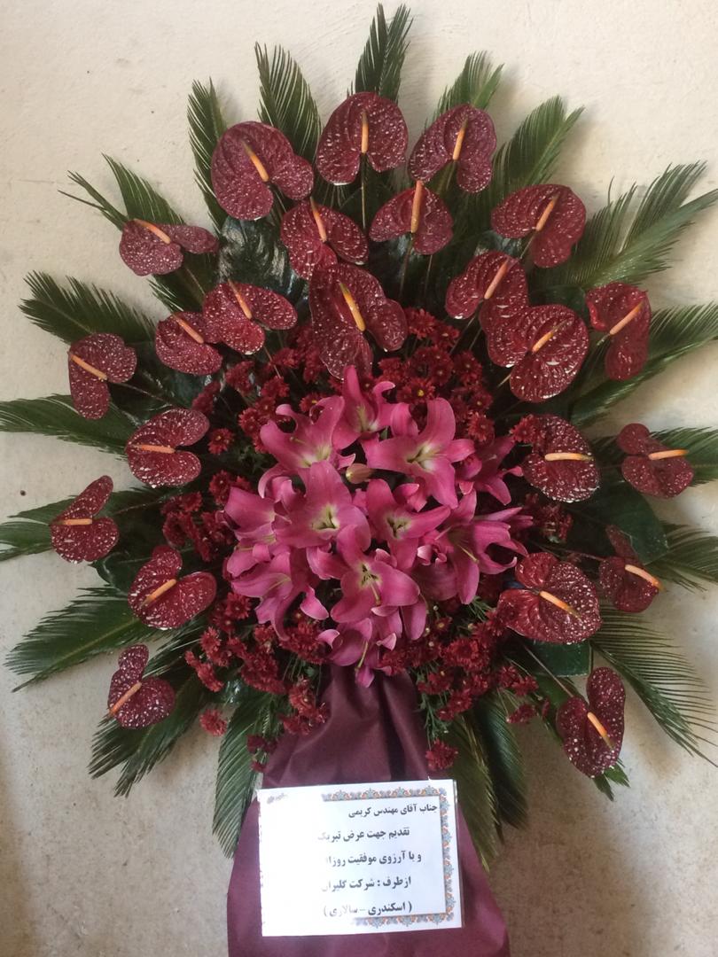 گل افتتاحیه